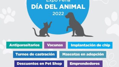 Photo of LA EXPO FERIA DÍA DEL ANIMAL, UNA PROPUESTA PARA LAS FAMILIAS Y SUS MASCOTAS