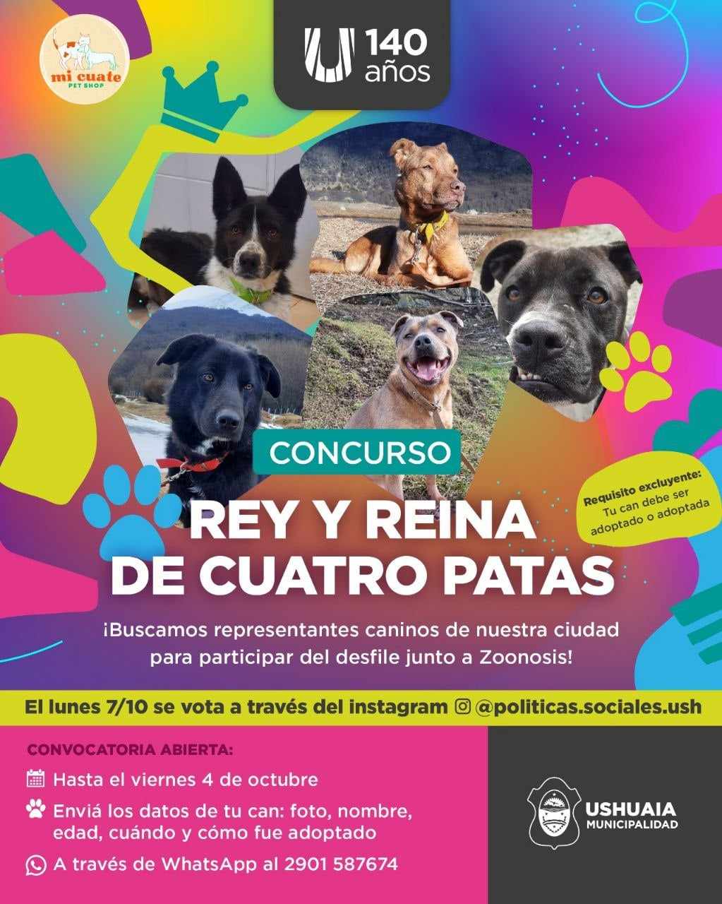 Photo of USHUAIA ELEGIRÁ REY Y REINA DE CUATRO PATAS PARA EL DESFILE POR LOS 140 AÑOS DE LA CIUDAD